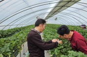 홍성군, 천적농법으로 ‘친환경’과 ‘경제성’ 두 마리 토끼 잡는다!